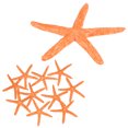 thumbnail image 1 of Paquete de 10 decoraciones de estrella de mar, decoración mini estrella de mar artificial de PVC de 2.4" para acuario/decoración de pecera/playa [Naranja], 1 of 6