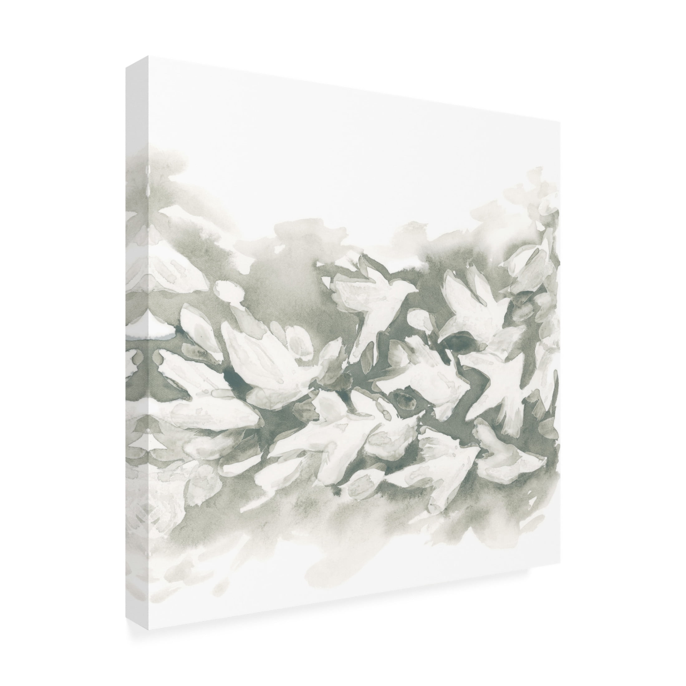 Trademark Fine Art June Erica Vess Carbon Flock I Canvas Wall Art