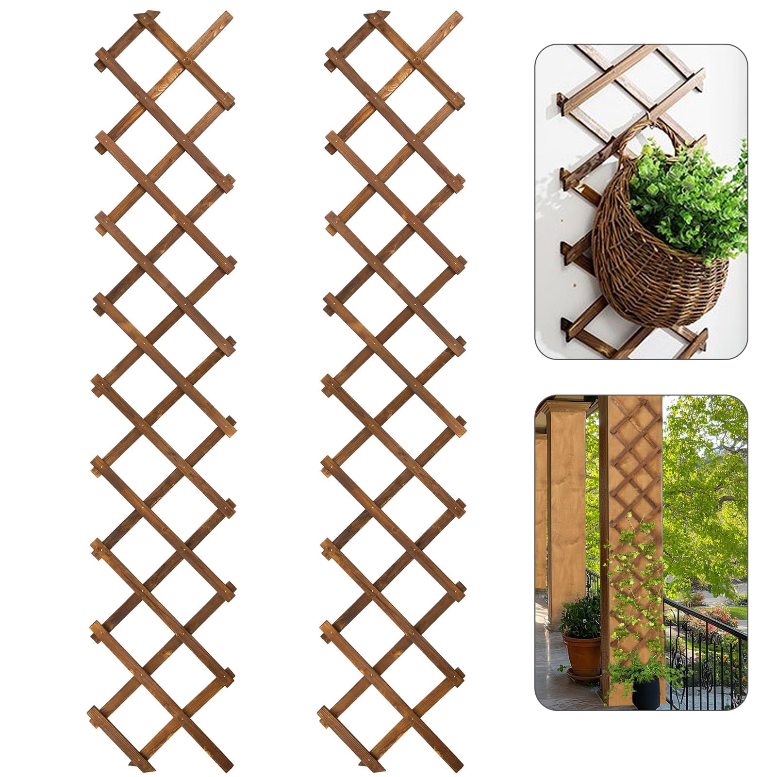 Maceta enrejada de pared ANPHSIN, de madera, expandible, paquete de 2 ...