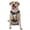 Without Accessories, variant on Vsdgher Vintage Starry Sky Labrador Pattern Dog Harness,No Pull Pet Harness with Soft Padded Handle,Adjustable Reflective Vest with 2 Buckles,4 Slide Buckles,S-XL Medium