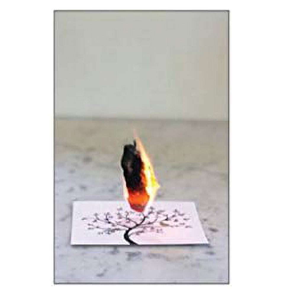 My Bouquet - Flying Wish Paper - Write It, Light It, & Watch It Fly, Large Kit, 7" x 7"