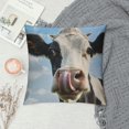 thumbnail image 2 of Qinduosi Farmhouse Pillow Covers Crazy Smiling Cow Pillow Cover Pillowcover Soft Double Side Print Sofa Linen Square Throw Pillowcovers " inch for Living Room Bedroom Car Decor, 2 of 5