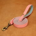 thumbnail image 5 of Didog Genuine Leather Dog Leash Walking Leash with Soft Handle Heavy Duty for Medium Large Dogs, 5 of 5