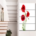 thumbnail image 1 of Fleurs de Coquelicot Rouge Isolées - Impression sur Toile Florale, 1 of 3