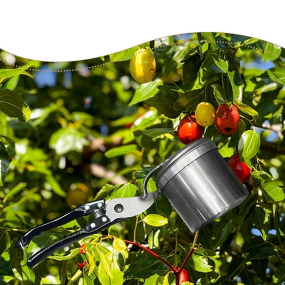 koolsoo Fruit Picker Jujube Picker Manual Multipurpose Outdoor Use Practical Jujube Picking Tool Tree Pickers for Lawn Garden Farming