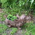 thumbnail image 6 of Zeckos Flying Wiener Dog Planter 18" Brown, With Drain Hole, Rustic Garden Decor, 6 of 11