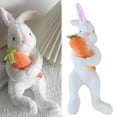 thumbnail image 2 of Poupée Carotte Câlin Petite Peluche Blanche Poupée Chiffon Cadeau, 2 of 9