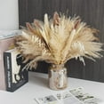 thumbnail image 1 of Zhuge 65 piezas de hierba de pampa, 17"/43 cm, hierba de pampa seca natural, decoración alta, hierba pomposa de decoración bohemia, plantas de hierba de pampa esponjosa, 1 of 5