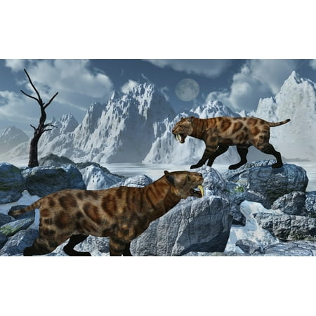 A pair of Sabre-Toothed Tigers high up in a snow covered mountain range doing their best to survive a freezing Pleistocene winter Poster (Best Mountains In America)