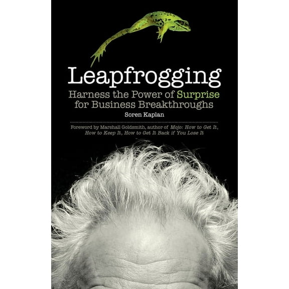 Leapfrogging : Harness the Power of Surprise for Business Breakthroughs (Hardcover)