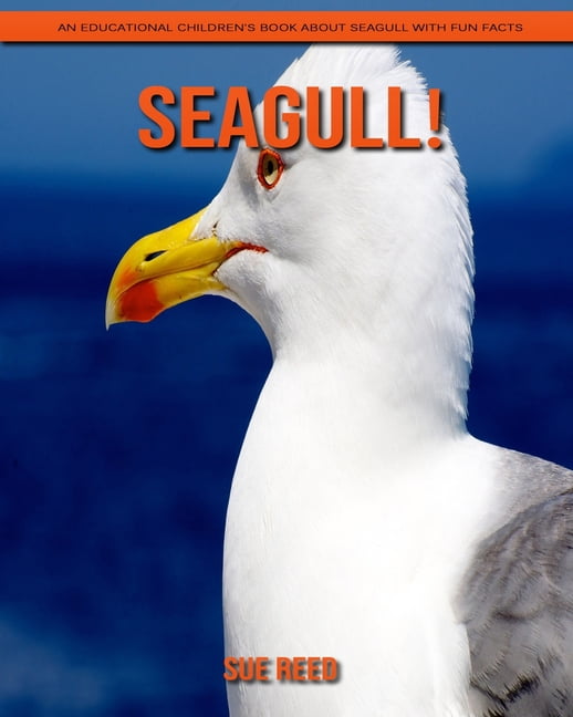 Seagull! An Educational Children’s Book about Seagull with Fun Facts