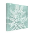 thumbnail image 2 of Trademark Fine Art 'Seaweed on Aqua I' Canvas Art by Vision Studio, 2 of 3