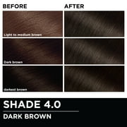 Garnier Olia Oil Powered Permanent Hair Color, 4.0 Dark Brown