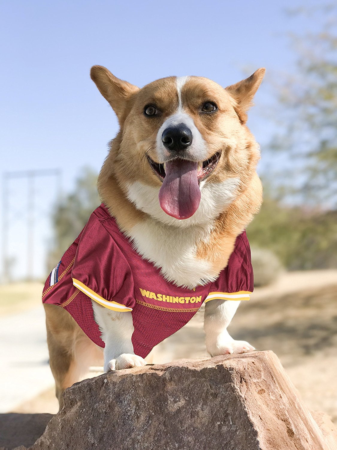 Washington redskins pet jersey hotsell