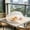 White, variant on Taicans Round Mesh Food Cover,23.6in Outdoor Picnic Foldable Fly Proof