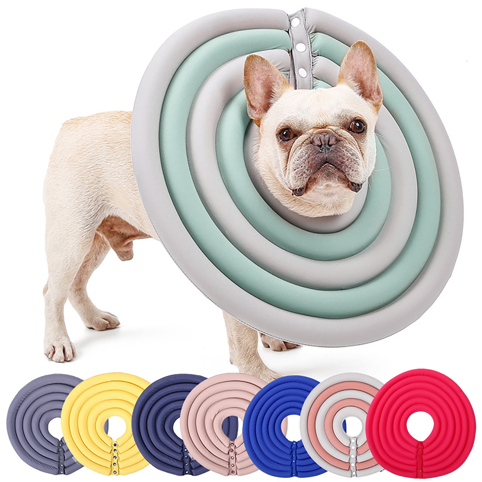 Pampered Pets Paws For Thought Kennels Canada Day Kcavykas Savings