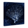 thumbnail image 3 of Stupell Industries Traditional Vintage Marine Life Canvas Art, 36 x 36, by Liz Jardine, 3 of 8