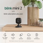 BlinkMini 2 (Newest Model) — Home Security & Pet Camera(s) with HD video, color night view, motion detection, two-way audio, and built-in spotlight