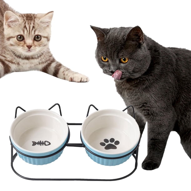 Cuenco para gatos Salvador con Soporte negro alimentador de agua Soporte elevado para cuencos para gatos