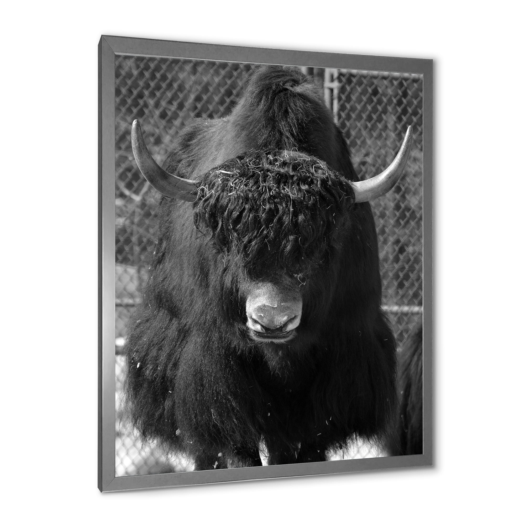 Designart 'Portrait Of Monochrome Wild Bull In Winter Forest II' Farmhouse Framed Art Print