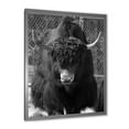 thumbnail image 2 of Designart 'Portrait Of Monochrome Wild Bull In Winter Forest II' Farmhouse Framed Art Print, 2 of 4