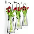thumbnail image 4 of Couronne 19'' Hanging Lantern Glass Wall Vase, 4 of 6