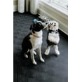 thumbnail image 6 of G-Floor 5 ft x 10 ft Vinyl Levant Pet Friendly Carpet Protector for Dogs & Cats - Midnight Black, 6 of 8