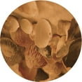 thumbnail image 1 of Ahgly Company Machine Washable Indoor Round Transitional Neon Orange Area Rugs, 3' Round, 1 of 7