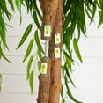thumbnail image 5 of Nearly Natural Artificial Potted Willow Tree - 6' - Green, 5 of 7
