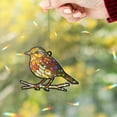 thumbnail image 3 of Lotusprinthandmade Bird Lovers Custom Shape Star Hologram Ornament 5in, Colorful Window Hanging Decor, Animal Lover Gift, 3 of 5