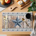 thumbnail image 2 of Texas Star Rustic Placemats Set of 4, Country Blue Berry Brown Wooden Plank Placemats for Dining Table, Place Mats for Kitchen Tabletop, Waterproof Wipeable Dining Table Mats Set, 2 of 9