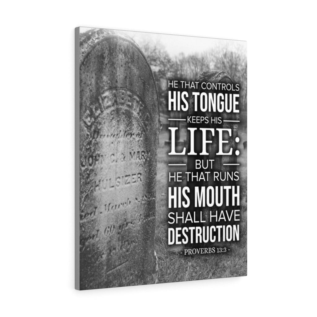 scripture-walls-his-tongue-keeps-his-life-proverbs-13-3-bible-verse