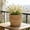 L, variant on Luxcidy Woven Flower Pot Storage Basket, Plastic Imitation Rattan Planter ( L), 8.07x6.69in for Home Decor, Planters, Storage