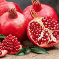thumbnail image 2 of Salavatski Pomegranate Tree Live Plant in 4'' Pot, 8-10'' Tall, Hardy Red Pomegranate Bush, Edible Fruit Bearing Tree, 2 of 5