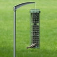 thumbnail image 5 of Original Evenseed Squirrel Dilemma Bird Feeder, 5 of 8