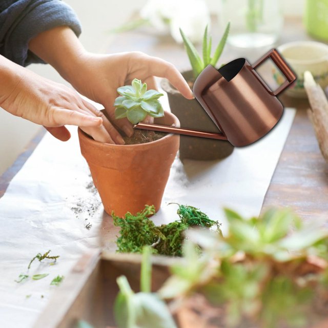Regadera de acero inoxidable de 300 ml, latas de agua modernas para interiores y exteriores, regadera reutilizable para plantas de interior para plantas de interior en general marrón DYNWAVEMX Regadera