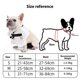 thumbnail image 3 of Martial Arts Dog Clothes Easy Wear 2 Leg Clothes Comfortable Costume For Halloween Parties And Festival Photography L, 3 of 5
