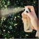 thumbnail image 3 of Body Mist Pistaché Skincare, fragancia de pistacho, 100 ml, 3 of 5