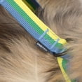 thumbnail image 3 of One Paw, 3-Pack Dog Harness and Leash Set with Poop Bag Holder, Multiple Sizes, Blue, For Dogs, 3 of 6
