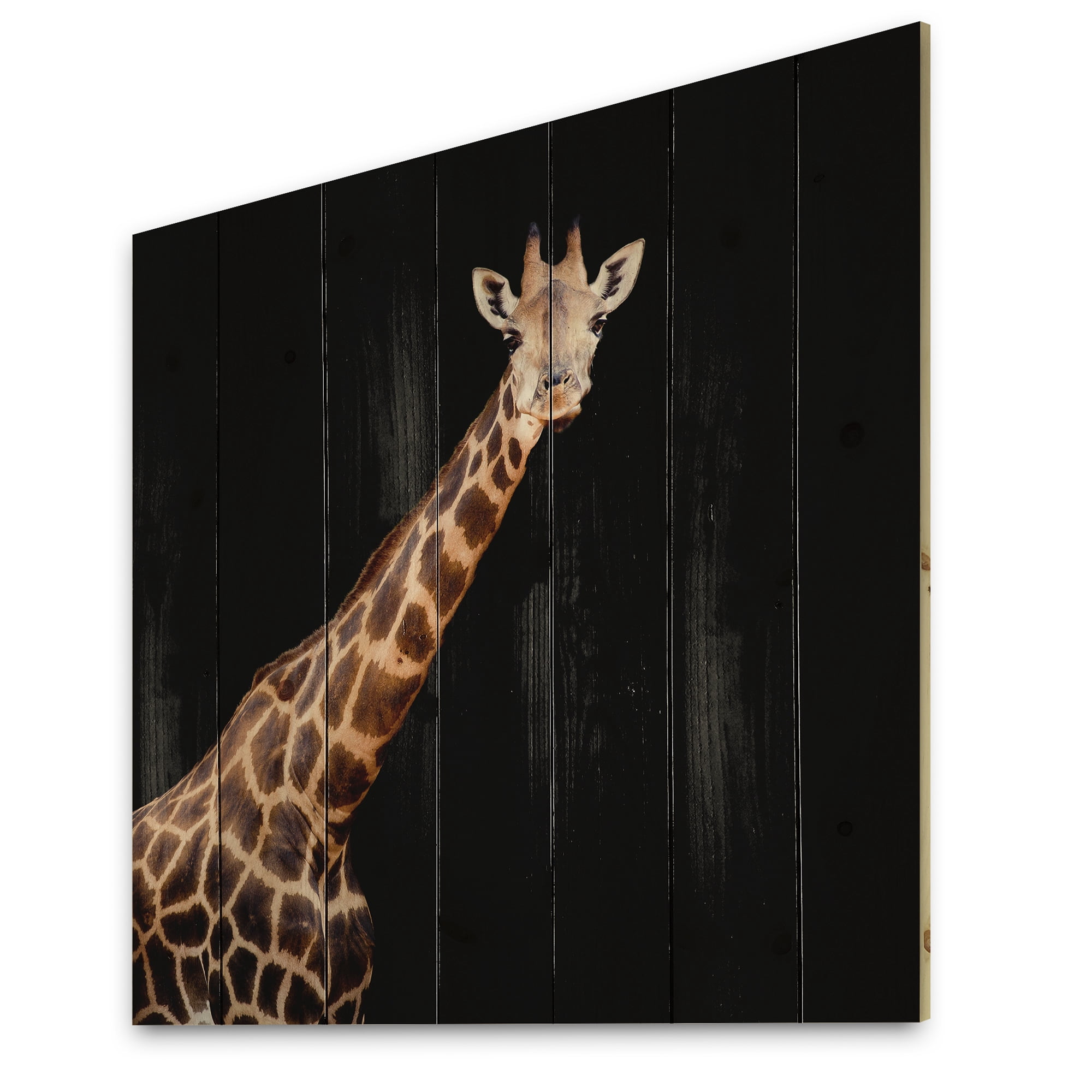 Designart 'Portrait of A Giraffe On Black Background III' Farmhouse Print on Natural Pine Wood