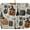 -, variant on Halloween Dish Drying Mat for Kitchen Counter Pumpkin Drying Pad Absorbent Drying Mats for Countertops Sinks Draining Racks Witch Hat Black Cat Drainer Halloween Holiday Decorations 18x24 Inch