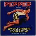 thumbnail image 3 of Anonymous 15x15 Black Modern Framed Museum Art Print Titled - Pepper Brand - Blue Label (1940s), 3 of 5