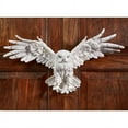 thumbnail image 1 of Design Toscano JQ9623 Mystical Spirit Owl Wall Sculpture, Full Color, 1 of 2
