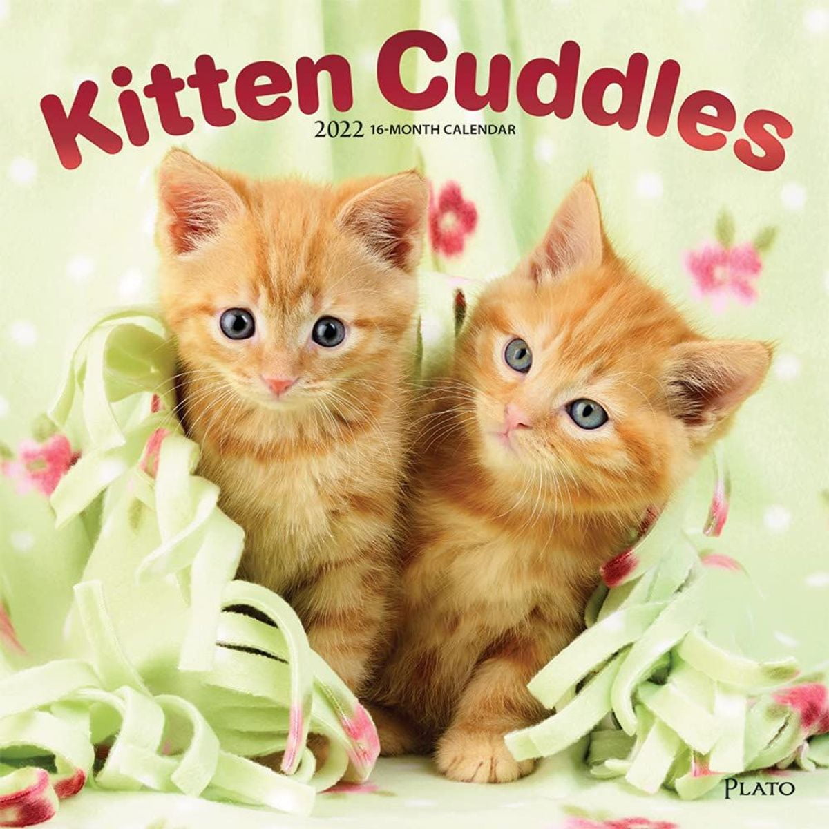 2020 Kittens 16 Month Wall Calendar by DaySpring 12" X 12" closed 