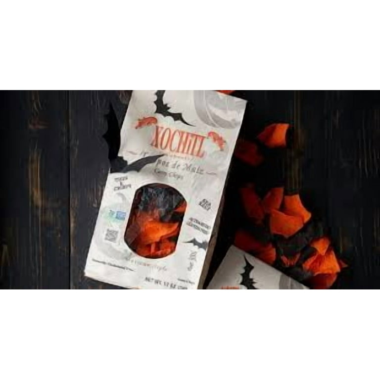 Xochitl Totopos de Maiz Corn Chips Thin and Crispy Sea Salt