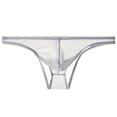thumbnail image 3 of TMOYZQ Men's See-Through Breathable Mesh T-Back G-Strings Thong Bulge Pouch Stretch Tagless Underwear Low Waist Butt-Flaunting Bikini Briefs Male Panties, 3 of 3