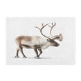 thumbnail image 2 of IAUYY Set of 2 Inch Bath Mat Thick Soft Plush Shower Mat TPR Backing Material Non Slip Bath Mats for Bathroom for Tub Shower Hotel White Reindeer Photos, 2 of 9