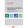 thumbnail image 2 of What Works in Improving Gender Equality: International Best Practice in Childcare and Long-Term Care Policy, (Paperback), 2 of 2