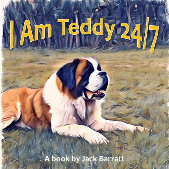 I Am Teddy 24/7, (Paperback)