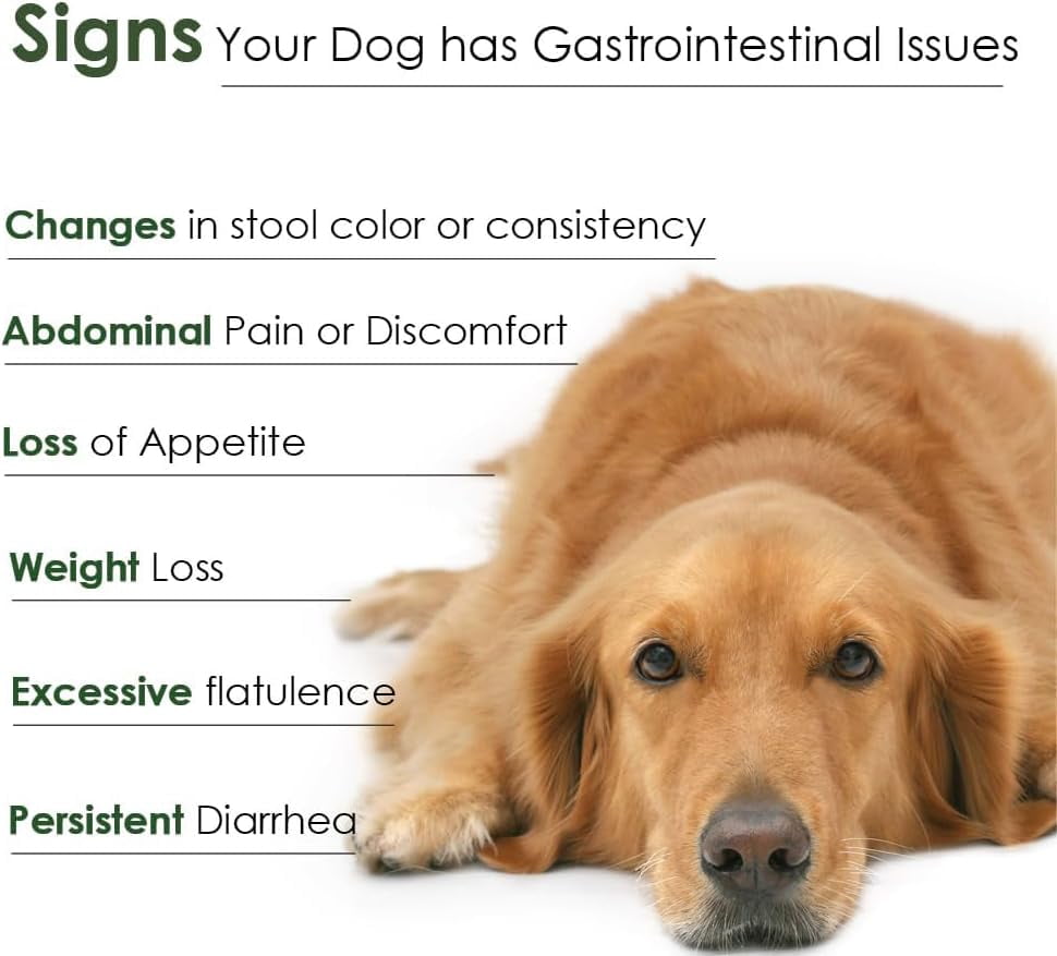Proflora Probiotics for Dogs-Complete Gut Health & Immune Support. Easier Diet Transitions, Healthier Skin & Coat & Helps Treat Diarrhea. 30 Powder Packets